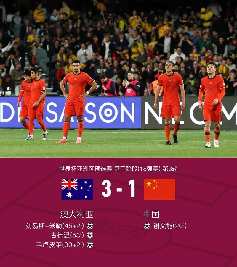 世界杯比分入口地址